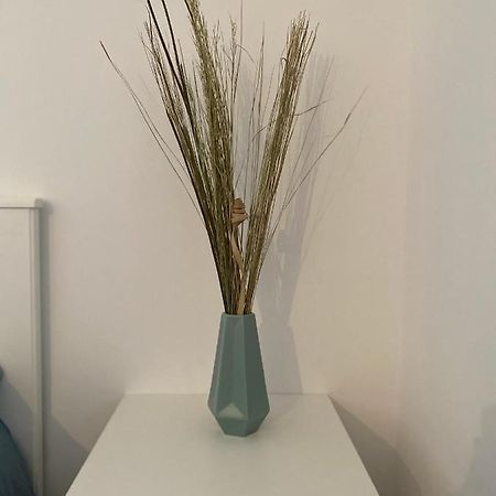 Studio Saint Cyprien Plage Экстерьер фото